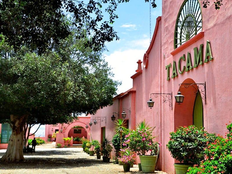 Hoteles en Ica cerca de bodegas de Pisco: precios y opciones